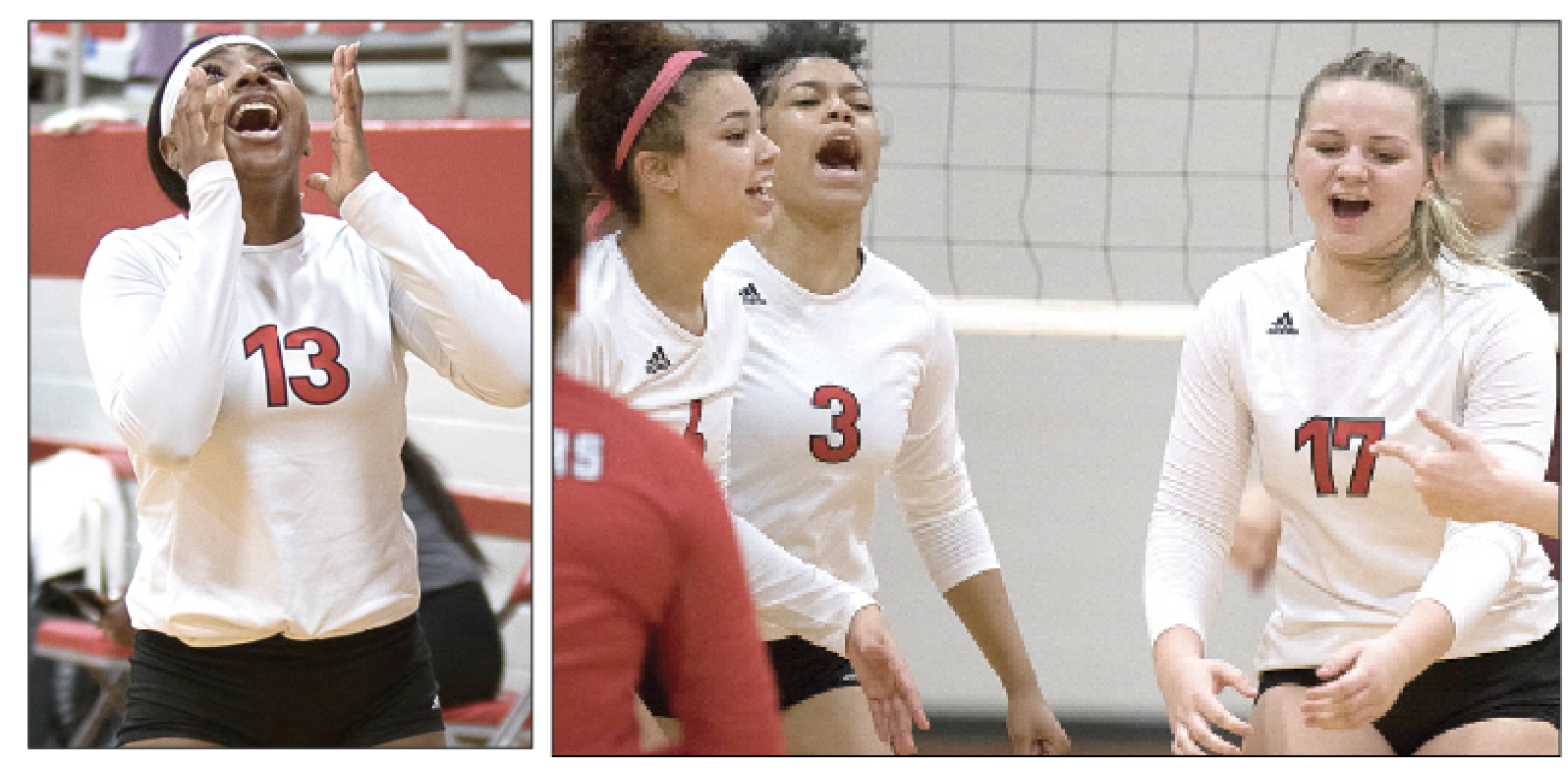 VOLLEYBALL: Wharton County JC season finale